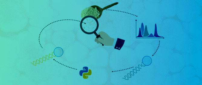 Phospholipid Profiling: A Computationally Assisted LC-HRMS Approach in Lecithin