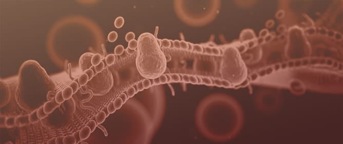 Synergistic &beta;,&beta;-Dim-Colistin Combination Against <em>mcr</em> and TCS-Mediated Resistance