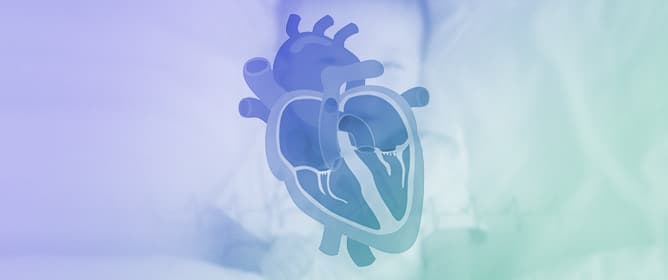 From Genetics to Phenotype: Understanding the Diverse Manifestations of Cardiovascular Genetic Diseases in Pediatric