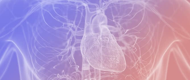 Integrating Genetic, Clinical, and Histopathological Data for Definitive Diagnosis of PRKAG2-Related Disease