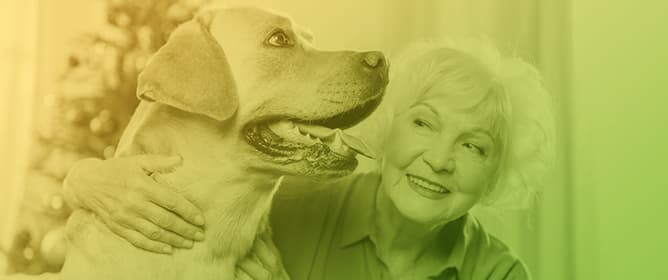 <strong></strong>A Systematic Review of Pet Attachment and Health Outcomes in Older Adults