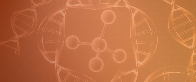 Does Altered Membrane Glycosylation Contribute to Neurodevelopmental Dysfunction in Autism Spectrum Disorder?