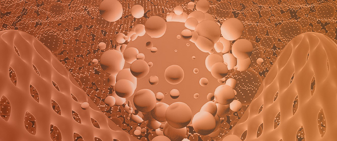 Development of Chitosan Polymer Membranes with Potential Use in Filtration Processes