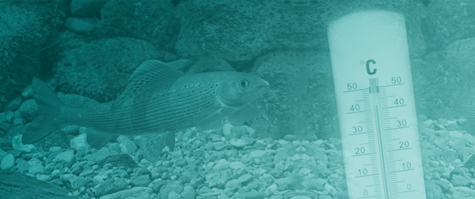 Temperature as Stressor for Fish Communities