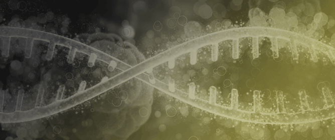 Decoding Leukemic Stem Cells in AML