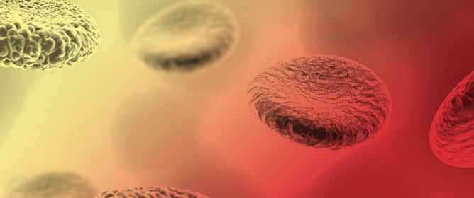 The First Gene Therapy for Treating an Indonesian Child with Thalassemia Major: A New Hope for Indonesia