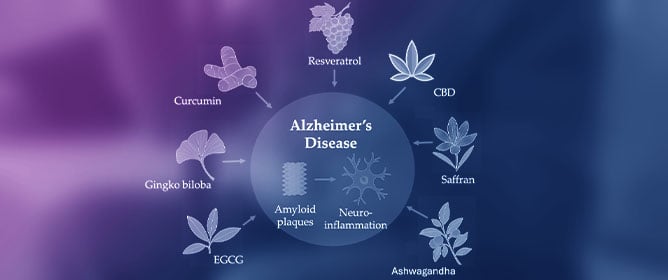Natural Products as Modulators of Amyloid Beta Aggregation and Neuroinflammation