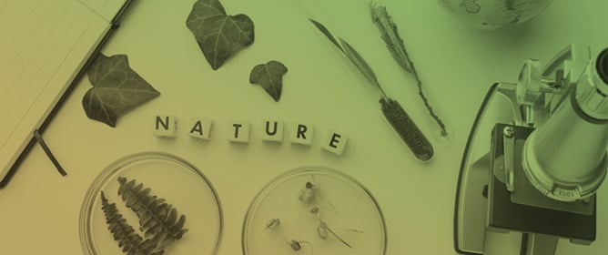 Practical Work in Natural Sciences Education: Development and Validation of a Qualitative Data Collection Instrument