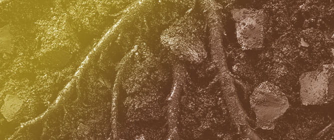 Magnetic Polyoxometalate@Biochar Catalysts for Selective Acetalization of Glycerol into Fuel Additive