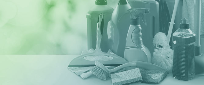 Presence of Major Bacterial Foodborne Pathogens in the Domestic Environment and Hygienic Status of Food Cleaning Utensils: A Narrative Review