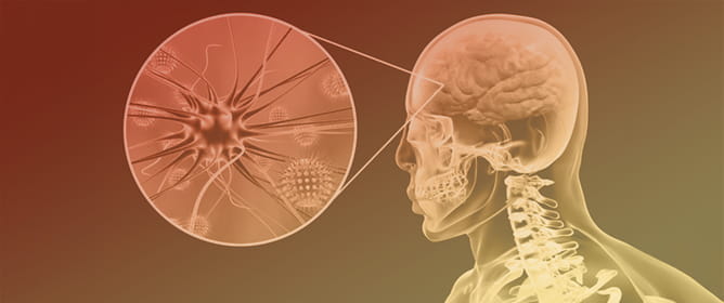 Pneumococcal Meningitis in a Region of Northern Spain, 1993&ndash;2023: Incidence Trends, Clinical Features, Recurrences, and Antibiotic Resistance