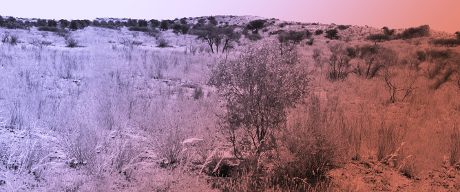 Analysis of Soil &delta;<sup>13</sup>C and &delta;<sup>15</sup>N Along Precipitation Gradient: Critical Insights into Tree&ndash;Grass Interactions and Soil C Sequestration in Savannas