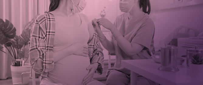 Transplacental Antibody Transfer: Mechanisms, Pregnancy-Related Disruptions, and Emerging Experimental Models