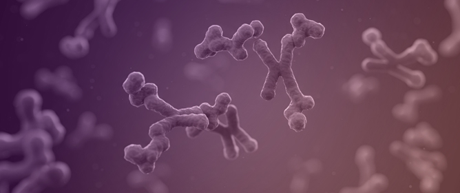 Updates on Antibody Drug Conjugates and Bispecific T-Cell Engagers in SCLC