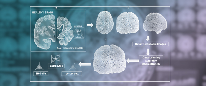Hybrid Vision Transformer&ndash;CNN Framework for Alzheimer&rsquo;s Disease Cell Type Classification: A Comparative Study with Vision&ndash;Language Models