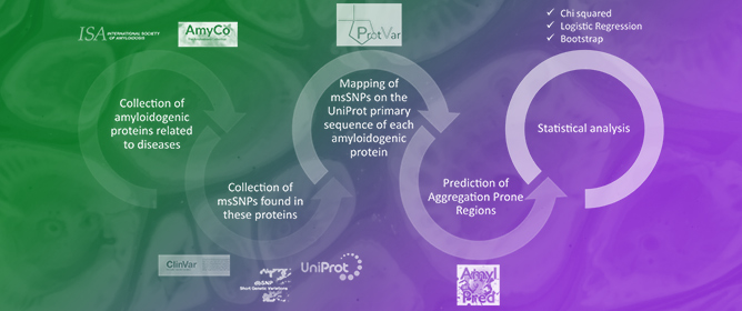 Insights into Missense SNPs on Amyloidogenic Proteins