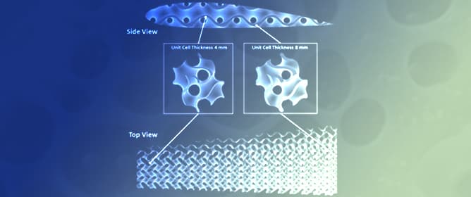 Gradient-Thickness TPMS Structures with Controlled Porosity for Additively Manufactured UAV Fixed Wings