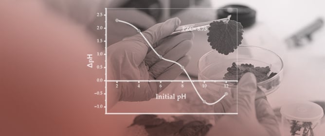 Dye Photocatalytic Degradation and Water Treatment Using Biosynthetic ZnO Nanoparticles Produced Using Annatto Tree Leaf Extract