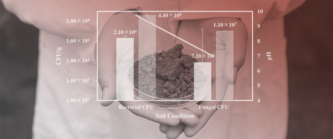 Investigation of Polyhydroxybutyrate (PHB) Biodegradability in Alkaline Landfill Soil