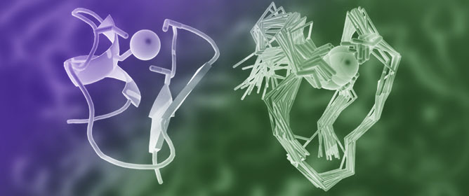 NMR Structure of the Novel Zinc Finger from the Protein ZC4H2
