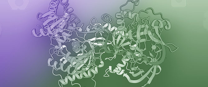 The Multifaceted Role of miR-211 in Health and Disease