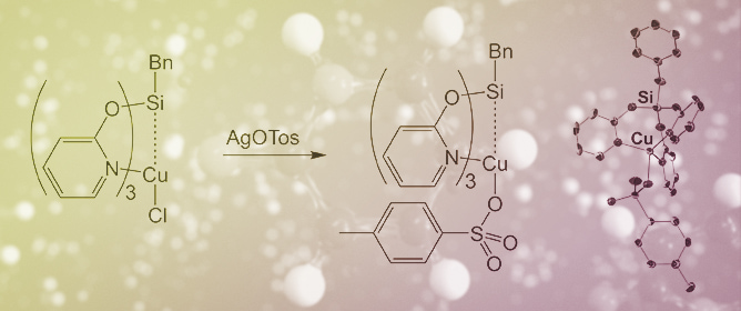 Reactions of Benzylsilicon Pyridine-2-olate BnSi(pyO)<sub>3</sub> and Selected Electrophiles&mdash;PhCHO, CuCl, and AgOTos