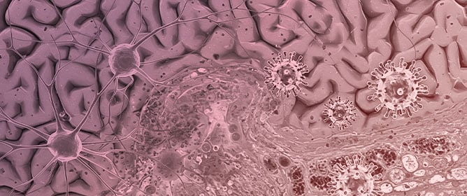 HSV-1 as a Potential Driver of Alzheimer&rsquo;s Disease