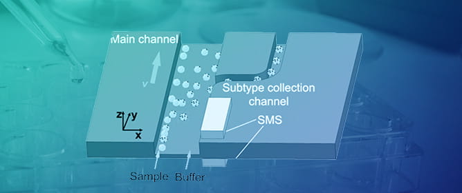 Magnetically Sculpted Microfluidics for Continuous-Flow Fractionation of Cell Populations by EpCAM Expression Level