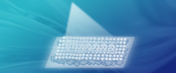 Enhanced Flexible Vacuum-Ultraviolet Photodetectors Based on Hexagonal Boron Nitride Nanosheets via Al Nanoparticles