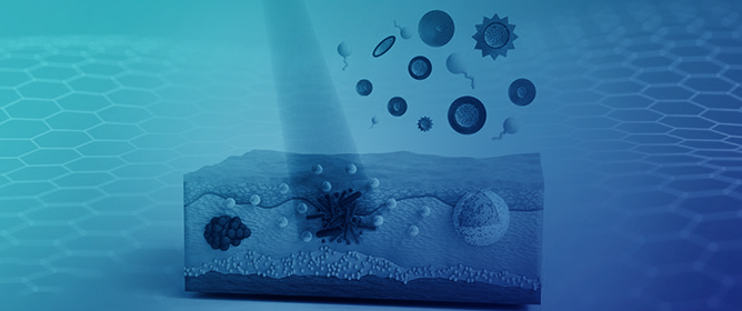 Core&ndash;Shell Plasmonic Nanocomposites with Synergistic Photothermal and Photochemical Activity for Biomedical Applications
