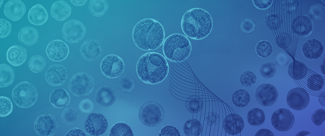 Biogenic Synthesis, Structural Characterization, and Biological Evaluation of Nanoparticles Derived from <em>Chlorella vulgaris</em> Ethanolic Extract