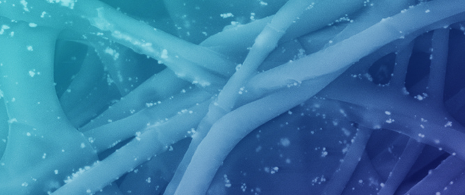 Sustainable Lavender Extract-Mediated Synthesis of Silver Nanoparticles and Their Use in Fabricating Antibacterial Polymer Nanocomposites