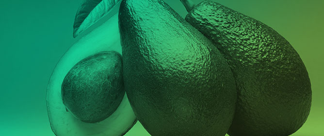 <em>Colletotrichum perseae</em> and <em>Colletotrichum gloeosporioides sensu strictu</em> Causing Stem Lesion and Dieback in Avocado in Italy