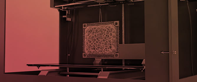 Decellularized Extracellular Matrix for Organoids Development and 3D Bioprinting
