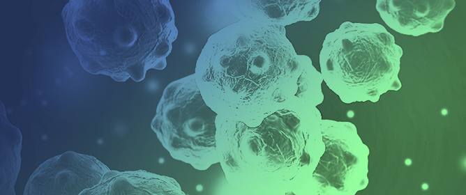 miRNA-Based Breast Cancer Subtyping Using AHALA Multi-Stage Classification Approach