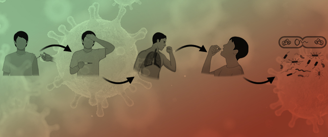 Non-Specific Benefits of Seasonal Influenza Vaccination