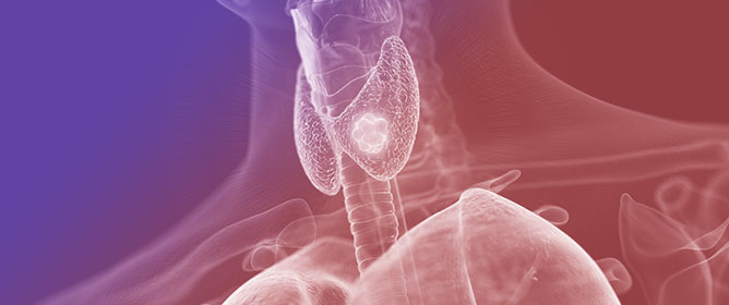 The Intricate Relationship Between Thyroid Disorders and Type 2 Diabetes&mdash;A Narrative Review