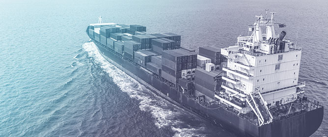 Deep Learning-Based Prediction of Ship Roll Motion with Monte Carlo Dropout