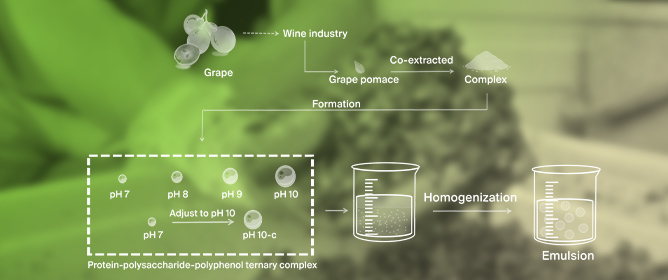 Exploration of Natural Protein&ndash;Polysaccharide&ndash;Polyphenol Ternary Complexes from Grape Pomace for Clean-Label Pickering Emulsions Through pH Adjustment
