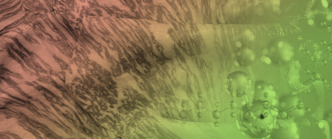 Effects of Oleic Acid and Intramuscular Fat Levels on Retronasal Aromas in Wagyu Beef from Japanese Black Cattle