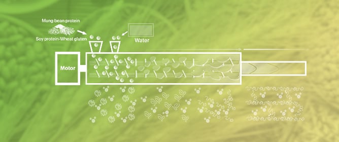 Structural, Textural, and Functional Properties of Plant-Based Meat Analogs Prepared by High-Moisture Extrusion of Soy&ndash;Wheat&ndash;Mung Bean Multi-Protein System