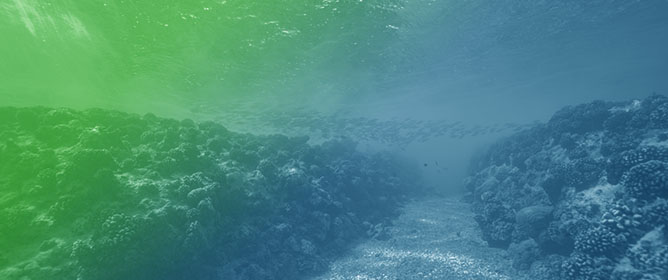 VSJE: A Variational-Based Spatial&ndash;Spectral Joint Enhancement Method for Underwater Image