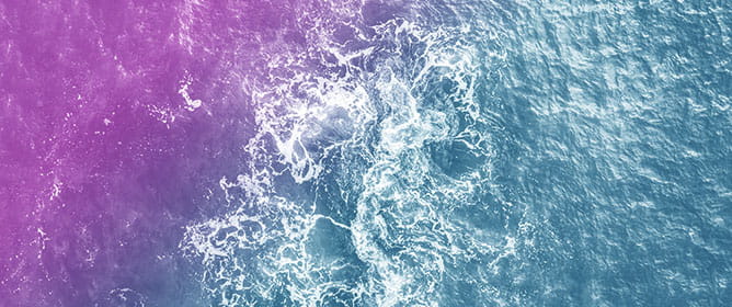 Public Perceptions of Marine and Coastal Restoration in Ireland