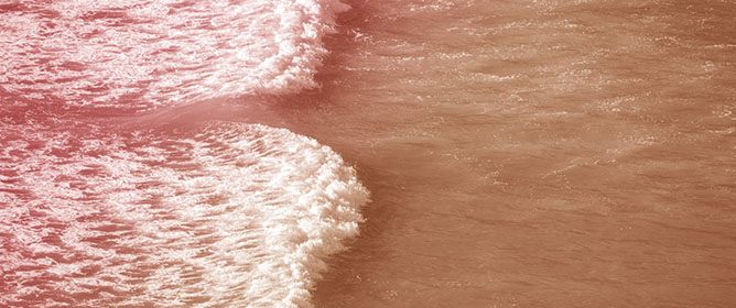 Effect of a Short-Term Training Program on Knowledge of Rip Currents: A Study with University Students