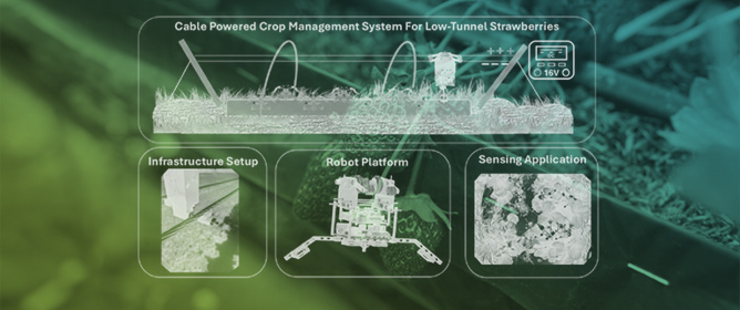 A Prototype Crop Management Platform for Low-Tunnel-Covered Strawberries Using Overhead Power Cables