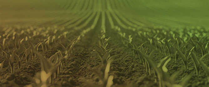 Crop Identification with Monte Carlo Simulations and Rotation Models from Sentinel-2 Data