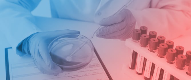 Assessment of Human DNA and Y-DNA Quantity in Blow Fly Larvae Cultured on Human Blood: Evaluation of Utility for Identification and Forensic Reporting in Sexual Offense Cases