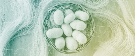 Recent Advances in Silk Fibroin Derived from <em>Bombyx mori</em> for Regenerative Medicine