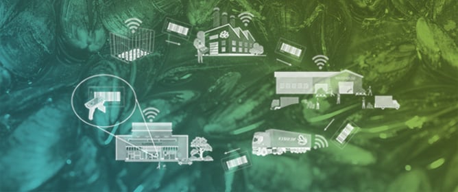 Automation in the Shellfish Aquaculture Sector to Ensure Sustainability and Food Security