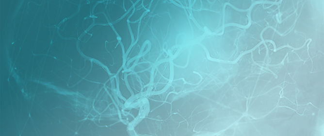 AI-Guided Inference of Morphodynamic Attractor-like States in Glioblastoma